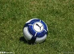 拜仁欲签马,赛边锋路易,恩里克,巅峰国际,巅峰国际官网,中国巅峰国际,巅峰国际入口