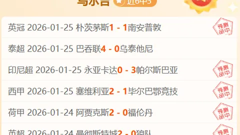 大乐透期号专家质合分析推荐：前区十码精准预测，今日精选2场N